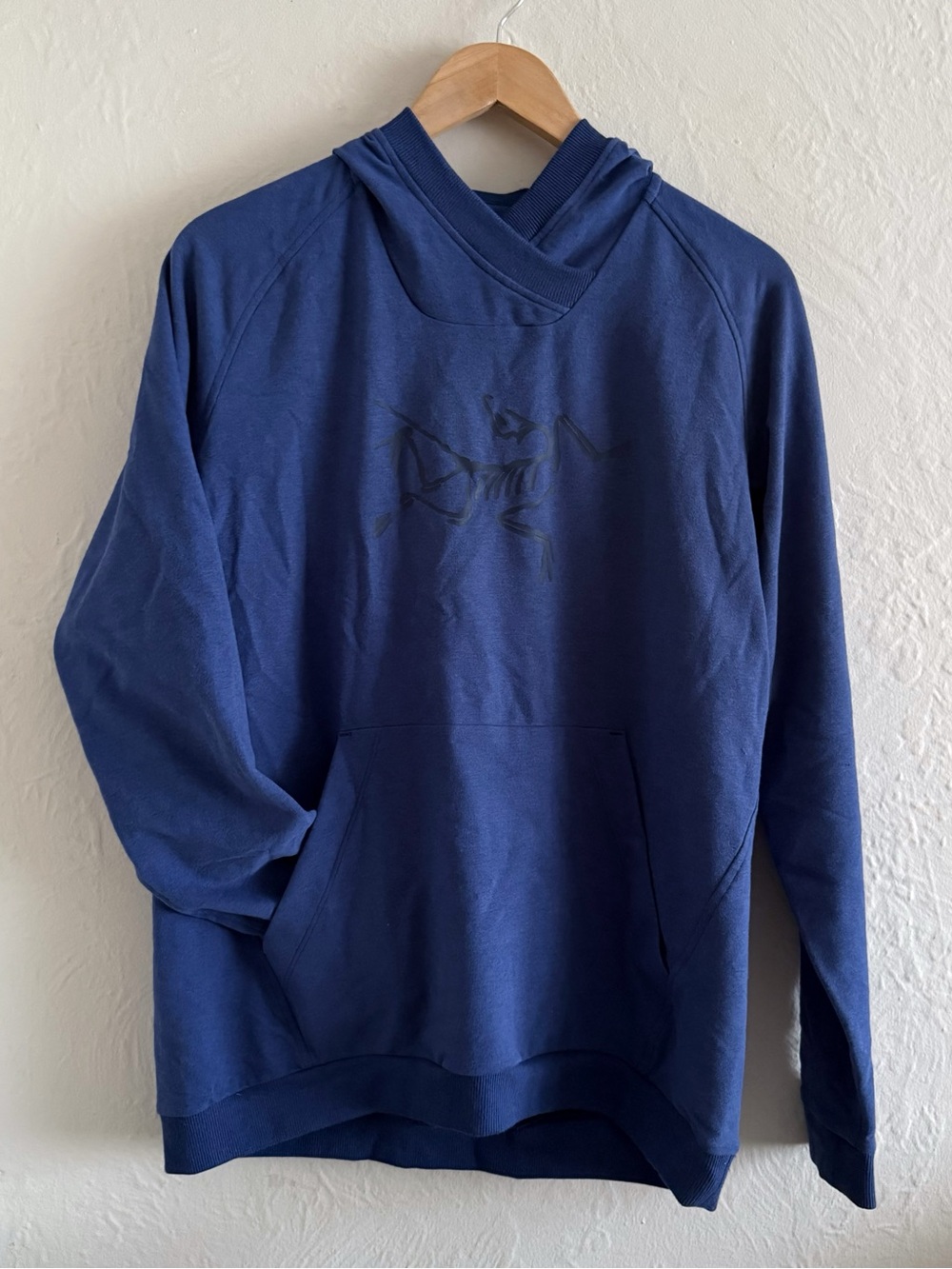 Arc’teryx Blue Pullover Hoodie Sweatshirt Size L